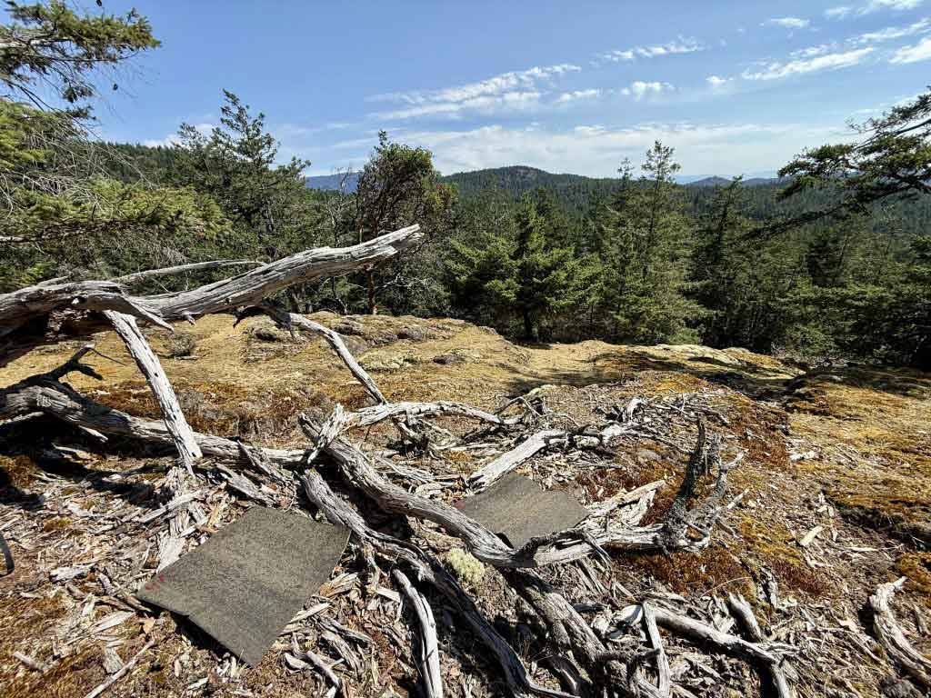 Rare Endangered Snake Found on Lasqueti Island