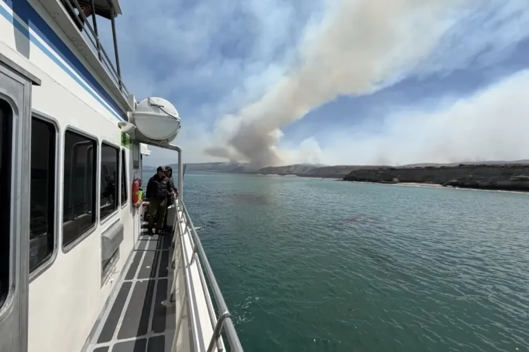 Santa Rosa Island Fire Burns 10,000 Acres of Habitat