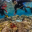 Simultaneous Coastal & Underwater Cleanup Launch