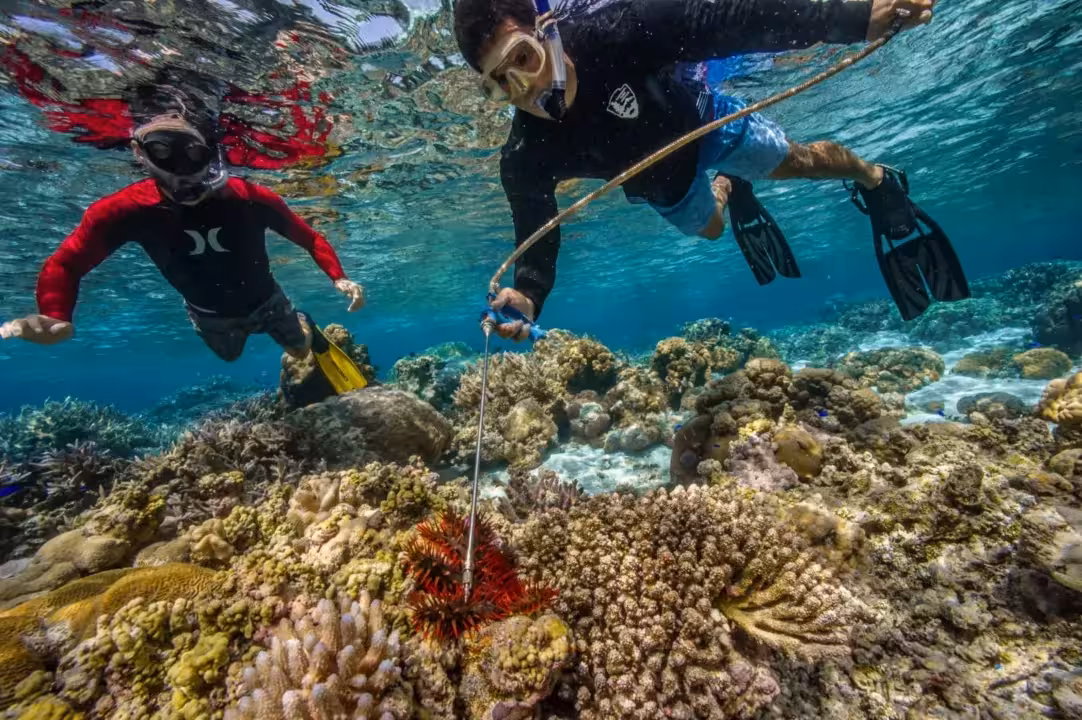 Simultaneous Coastal & Underwater Cleanup Launch