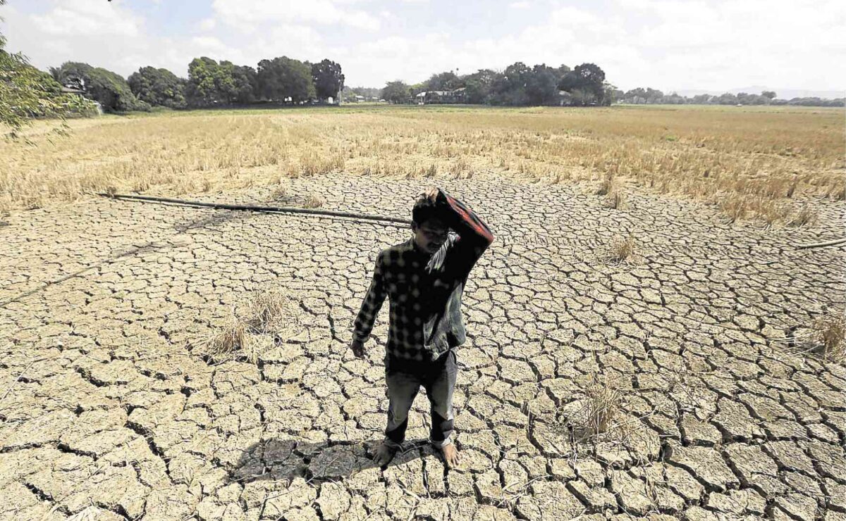 El Niño May Tighten Cebu Water and Food Supply