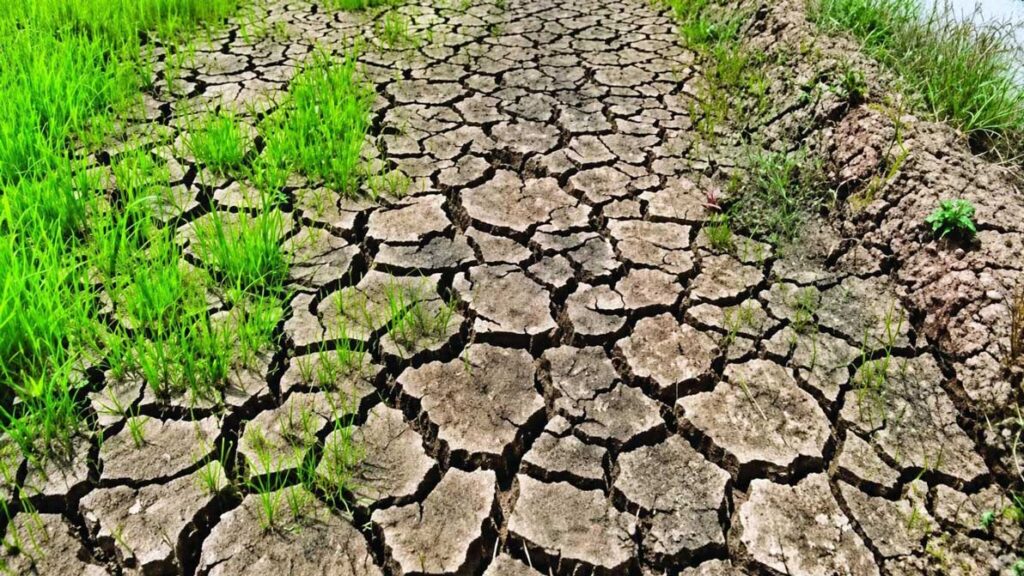 Cebu-Agriculture-Budget-Funding-to-Fight-El-Niño
