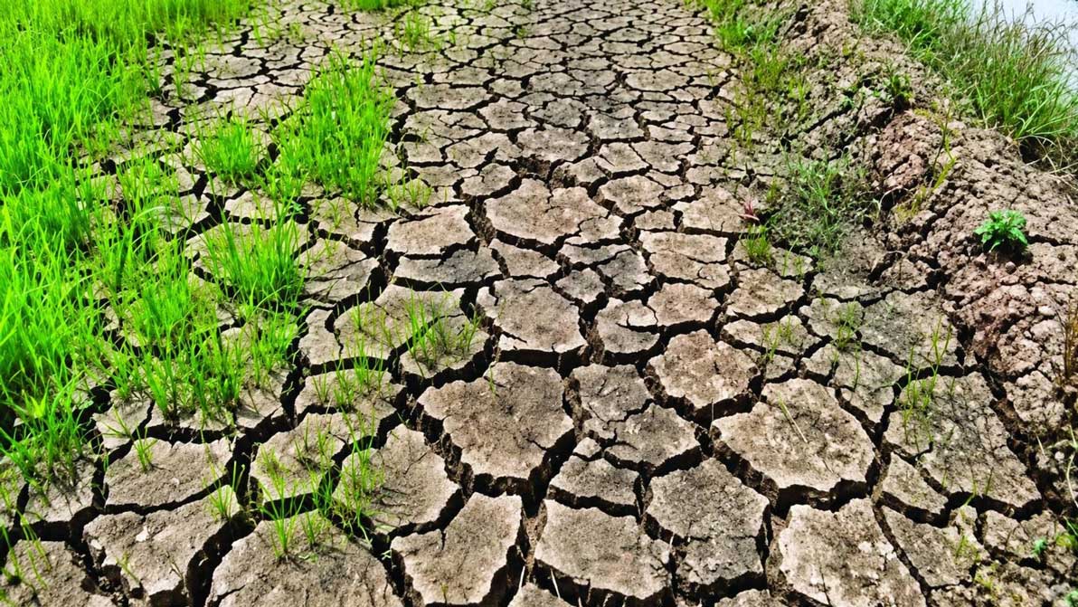 Cebu-Agriculture-Budget-Funding-to-Fight-El-Niño